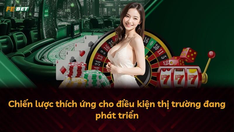 Chiến lược thích ứng cho điều kiện thị trường đang phát triển