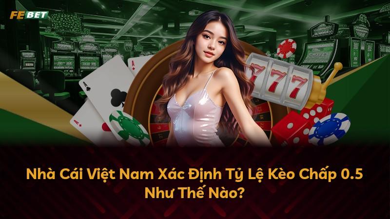 Nhà Cái Việt Nam Xác Định Tỷ Lệ Kèo Chấp 0.5 Như Thế Nào?