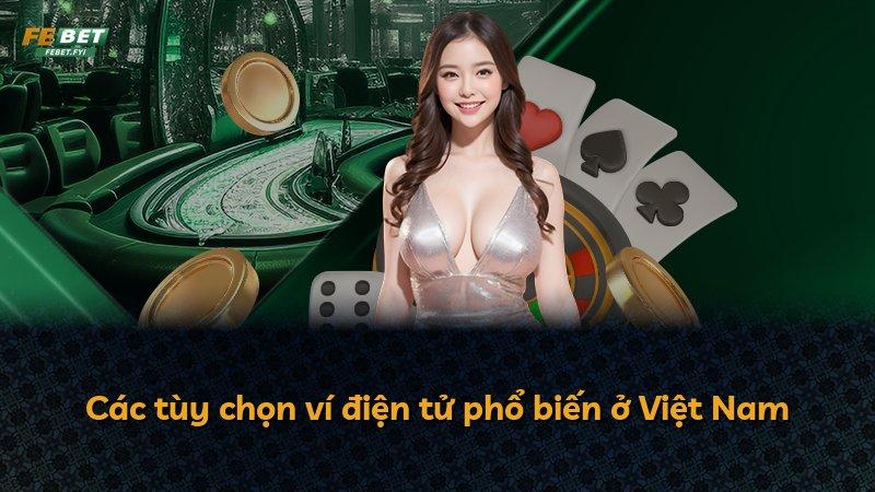 Các tùy chọn ví điện tử phổ biến ở Việt Nam