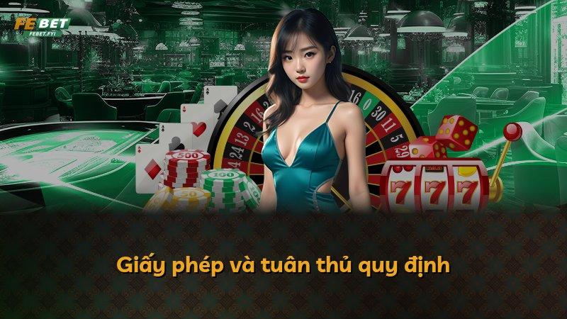 Giấy phép và tuân thủ quy định