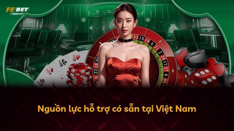 Nguồn lực hỗ trợ có sẵn tại Việt Nam